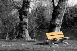 qui vient s’asseoir...