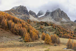 Dernières couleurs d'automne avant l'hiver