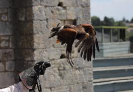 ramène nous de belles images