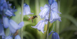 En vol stationnaire...