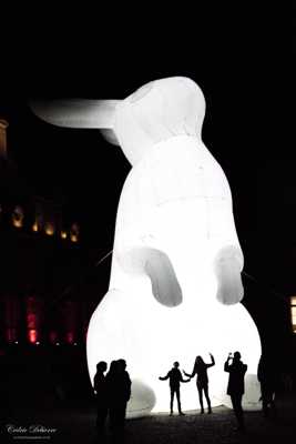 Le grand lapin blanc