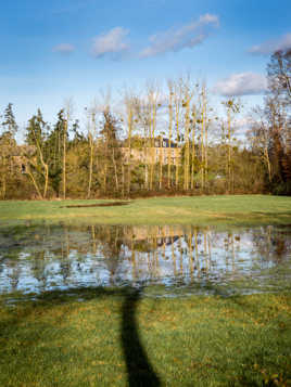 A l'ombre du vieux chêne se dessinent les reflets de mon chateau