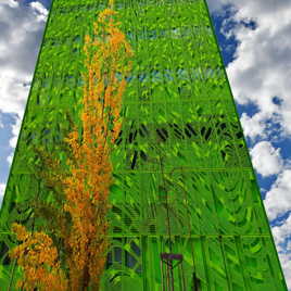 Toujours bien vert en automne