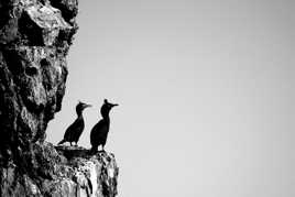 Aimer, c'est regarder dans la même direction ...