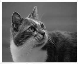 notre petite fifille