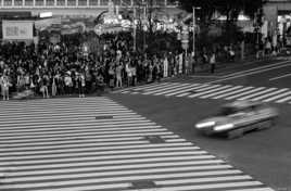 Shibuya Crossing