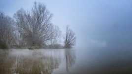 La Saône sous la brume