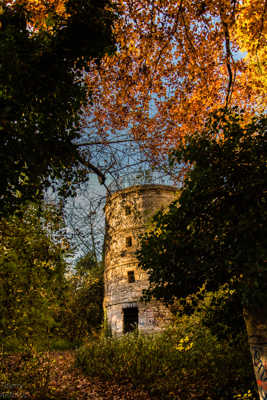 Automne en forêt