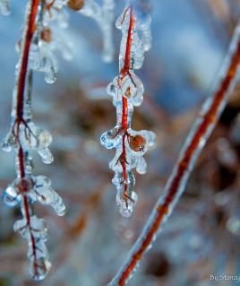 Ambiance hivernale