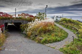 Allons prendre le bus