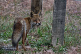 RENCONTRE MAGIQUE