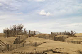 Plage Napoléon