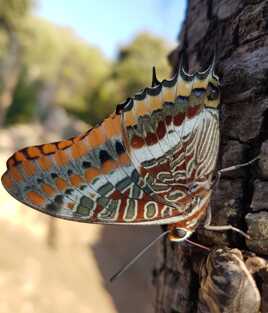 Aux couleurs d'automne