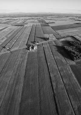 À Vol D'oiseau version N&B