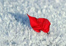 En Rouge et Blanc