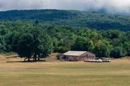 au fond de la vallée