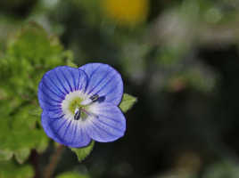 Le printemps arrive !