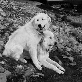 En voilà d'autres ! 3