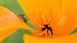 Une visite salissante