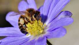 Au coeur de l'action....