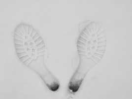 Emprintes dans la neige