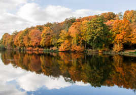 Reflets d'automne