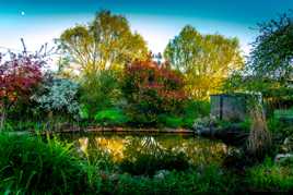 La mare à poissons !