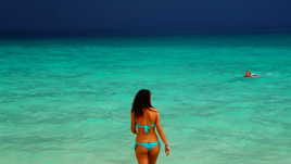 Dégradé de bleu/vert