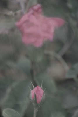 Et la vie continue ...