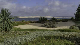 Dune du Pilat