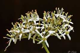 Que la nature est belle !