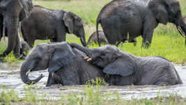 Frotte moi le dos. Ah oui c'est bon