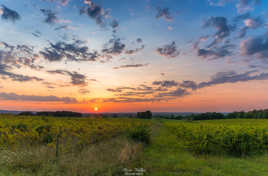 Coucher de Soleil sur le Périgord
