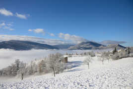 Un jour d'hiver dans le Verdon.
