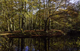 Couleurs d'Automne...