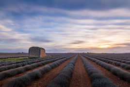 Ciel couleur lavande