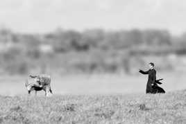 Revenez....j'ai pas terminé !