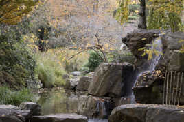 Jardin japonais de l'Île de Versailles