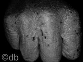 Le soldat de l'hiver