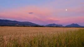 Douceur d'un début de soirée.