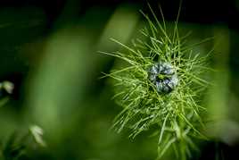 Je sais, je suis mal peignée !