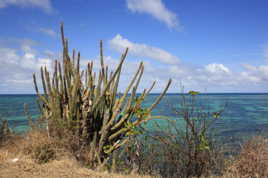 Martinique Avril 2014