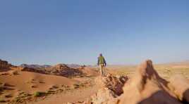 Sentinelle du désert