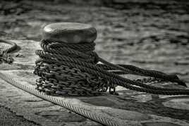 Versio N&B ( quai de SEINE )