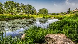 apres midi à la campagne