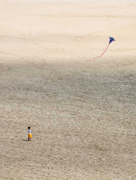 l'enfant et le cerf-volant
