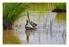 En haut c'est meilleur...
