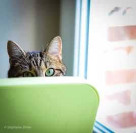 Oui oui, je te vois !!