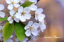 ... à tous les locos...