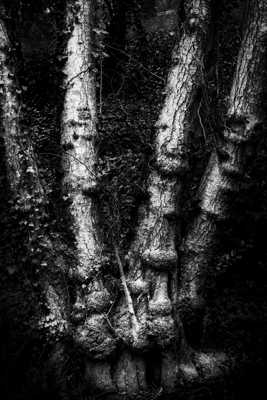 doigts de fée ou de sorcière?